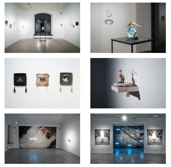 Alina Glazoun : Seu Plures Hiemes, Installation view