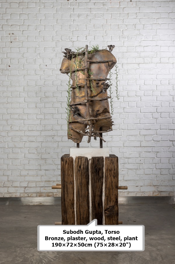 Subodh Gupta
Torso
Bronze, plaster, wood, steel, plant
190×72×50cm (75×28×20