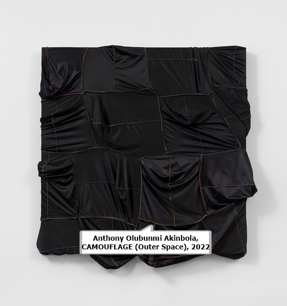 Anthony Olubunmi Akinbola, CAMOUFLAGE (Outer Space), 2022
