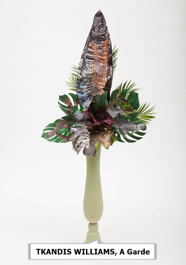 KANDIS WILLIAMS, A Garde
