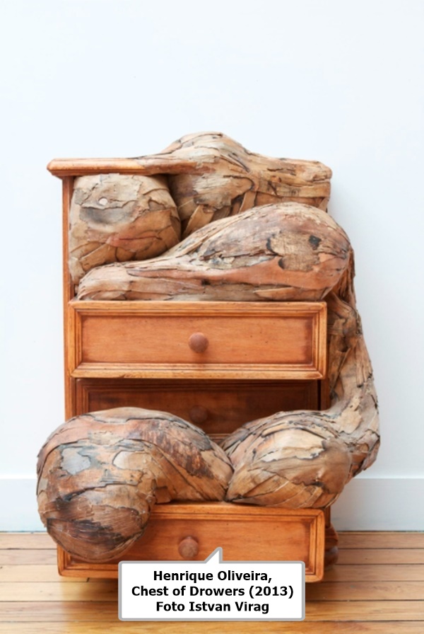 Henrique Oliveira, Chest of Drowers (2013) Foto Istvan Virag