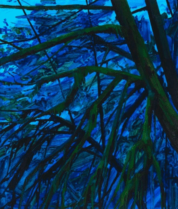 Claire Sherman : Fall Creek Falls