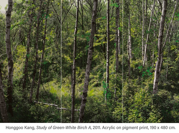 HONGGOO KANG
Study of Green-White Birch A, 2011
Acrylic on pigment print
190x480cm