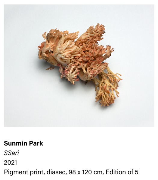 SUNMIN PARK
SSari, 2021
Pigment print, Diasec
98 x 120 cm
Edition of 5 plus 1 artist's proof (#1/5)