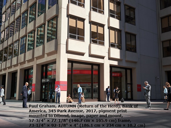 Paul Graham, AUTUMN (Return of the Herd), Bank of America, 345 Park Avenue, 2017, pigment print mounted to Dibond, image, paper and mount, 57-3/4 × 77-1/8 (146.7 cm × 195.9 cm) frame, 73-1/4 × 92-1/8 × 4 (186.1 cm × 234 cm × 10.2 cm)