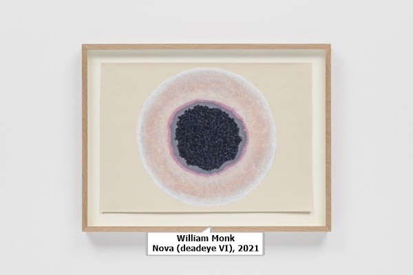 William Monk
Nova (deadeye VI), 2021  