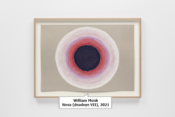 William Monk
Nova (deadeye VII), 2021  