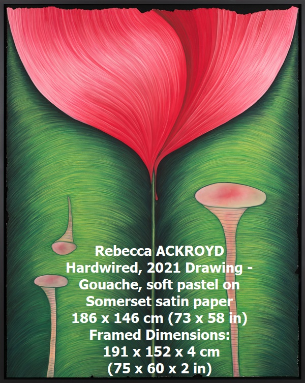 Rebecca ACKROYD
Hardwired, 2021
Drawing - Gouache, soft pastel on Somerset satin paper
186 x 146 cm (73 x 58 in)
Framed Dimensions: 191 x 152 x 4 cm (75 x 60 x 2 in)
