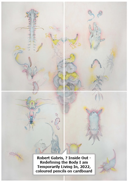 Robert Gabris, Ⅰ Inside Out - Redefining the Body I am Temporarily Living In, 2022, coloured pencils on cardboard,