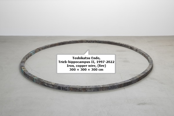 Toshikatsu Endo, Trieb-hippocampus II, 1997-2022
Iron, copper wire, (fire)
300 × 300 × 300 cm