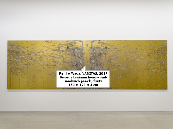 Reijiro Wada, VANITAS, 2017
Brass, aluminum honeycomb sandwich panels, fruits
153 × 496 × 3 cm