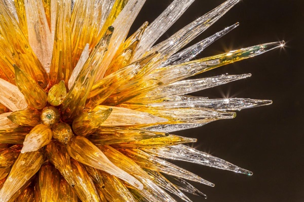 Dale Chihuly, Golden Umber Icicle Chandelier, 2015, 65 x 51 x 48 inches