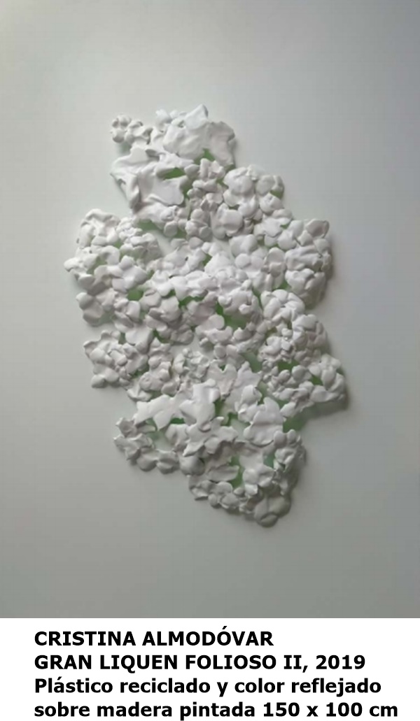 CRISTINA ALMODÓVAR GRAN LIQUEN FOLIOSO II, 2019 Plástico reciclado y color reflejado sobre madera pintada 150 x 100 cm