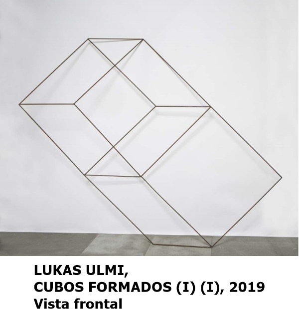 LUKAS ULMI CUBOS FORMADOS (I) (I), 2019 Vista frontal