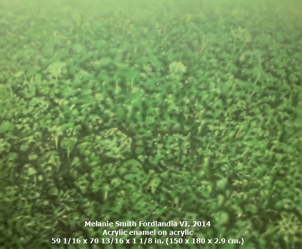 Melanie Smith
Fordlandia VI, 2014
Acrylic enamel on acrylic
59 1/16 x 70 13/16 x 1 1/8 in. (150 x 180 x 2.9 cm.)