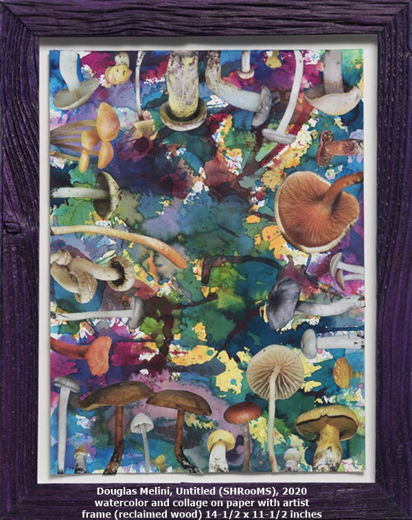 Douglas Melini, Untitled (SHRooMS), 2020
watercolor and collage on paper with artist frame (reclaimed wood)
14-1/2 x 11-1/2 inches
