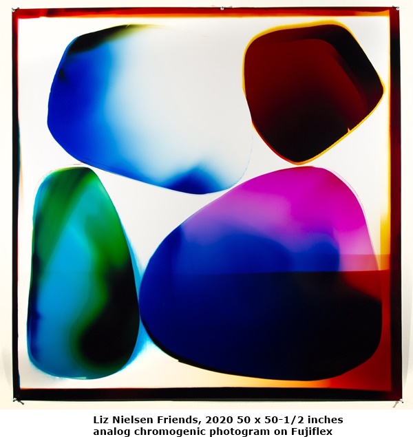 Liz Nielsen Friends, 2020 50 x 50-1/2 inches
analog chromogenic photogram on Fujiflex