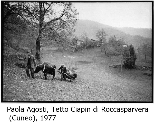 Paola Agosti, Tetto Ciapin di Roccasparvera
 (Cuneo), 1977