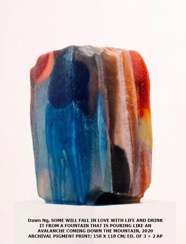 Dawn Ng, SOME WILL FALL IN LOVE WITH LIFE AND DRINK IT FROM A FOUNTAIN THAT IS POURING LIKE AN AVALANCHE COMING DOWN THE MOUNTAIN, 2020
ARCHIVAL PIGMENT PRINT; 158 X 118 CM; ED. OF 3 + 2 AP
