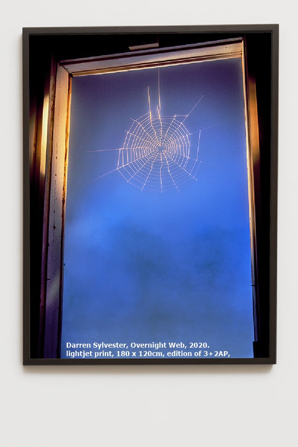 Darren Sylvester, Overnight Web, 2020. 
lightjet print, 180 x 120cm, edition of 3+2AP,