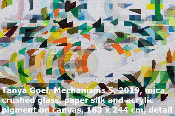 Tanya Goel, Mechanisms 5, 2019, mica, crushed glass, paper silk and acrylic pigment on canvas, 183 x 244 cm, detail