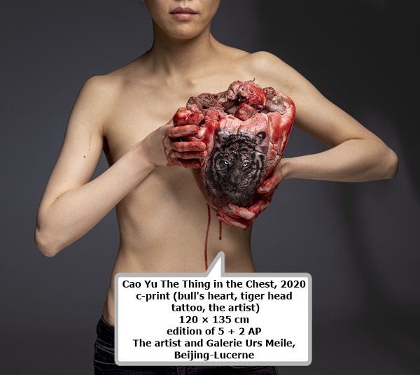 Cao Yu The Thing in the Chest, 2020
c-print (bull's heart, tiger head tattoo, the artist)
120 × 135 cm
edition of 5 + 2 AP
The artist and Galerie Urs Meile, Beijing-Lucerne