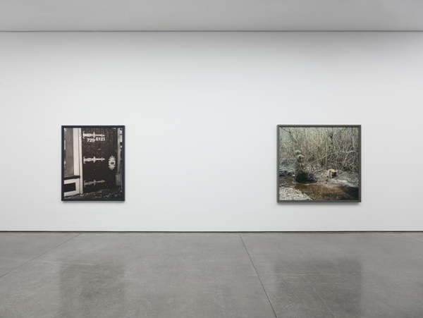 Jeff Wall, Installation view