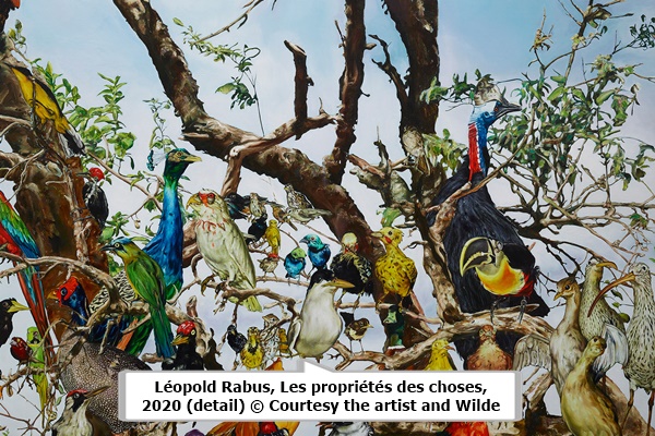 Léopold Rabus, Les propriétés des choses, 2020 (detail) © Courtesy the artist and Wilde