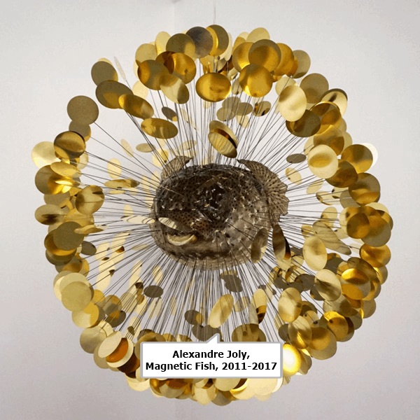 Alexandre Joly, Magnetic Fish, 2011-2017
