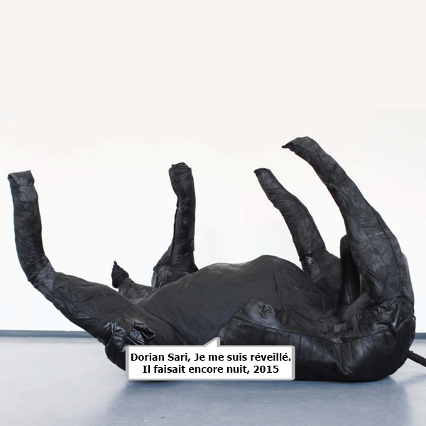 Dorian Sari, Je me suis réveillé. Il faisait encore nuit, 2015